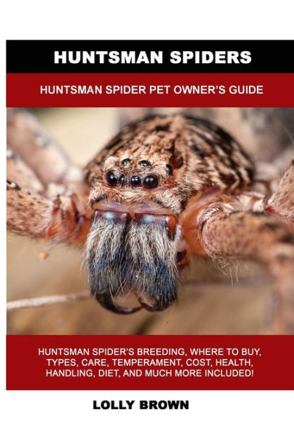 Huntsman Spiders: Huntsman Spider Pet Owner's Guide by Lolly Brown ...