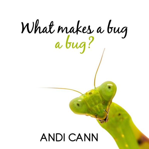 What Makes a Bug Bug?