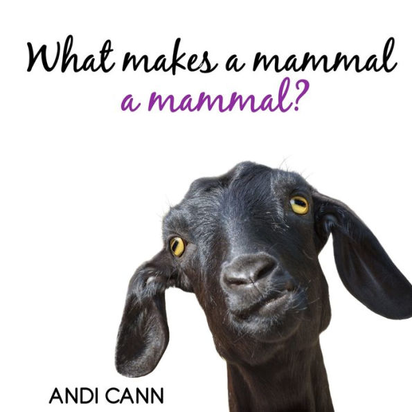 What Makes a Mammal Mammal?