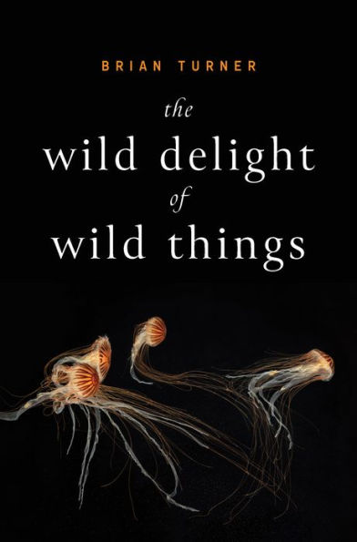 The Wild Delight of Things