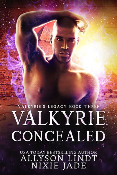 Valkyrie Concealed