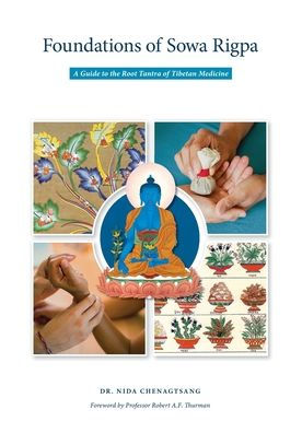 Foundations of Sowa Rigpa: A Guide to the Root Tantra of Tibetan Medicine