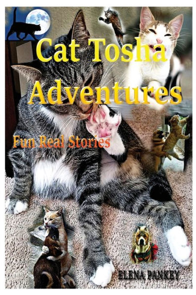 Cat Tosha Adventures: Fun Real Stories