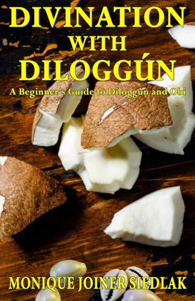 Divination with Diloggún: A Beginner's Guide to Diloggún and Obi