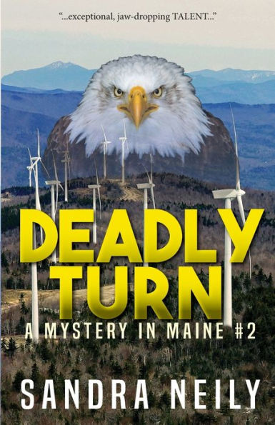 Deadly Turn: A Mystery in Maine