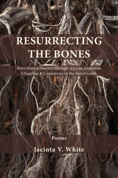 Resurrecting the Bones: Born from a Journey through African American Churches & Cemeteries in the Rural South