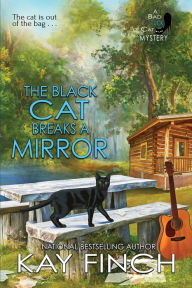 Free downloadable ebooks for phone The Black Cat Breaks a Mirror by Kay Finch 9781950461615 (English literature)