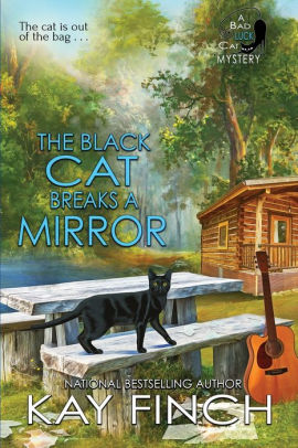 The Black Cat Breaks a Mirror