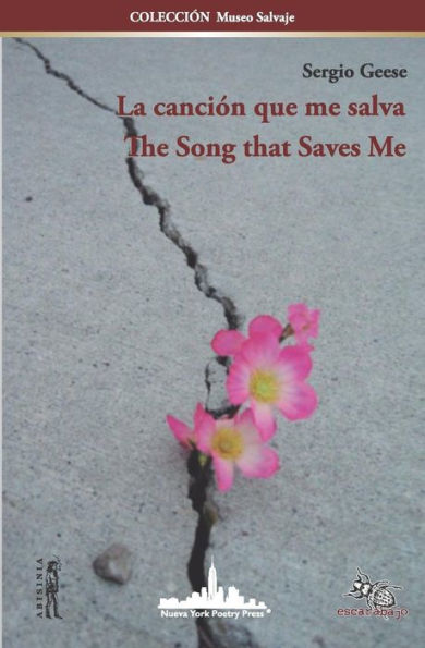La canciÃ¯Â¿Â½n que me salva / The Song that Saves Me: (Bilingual edition)