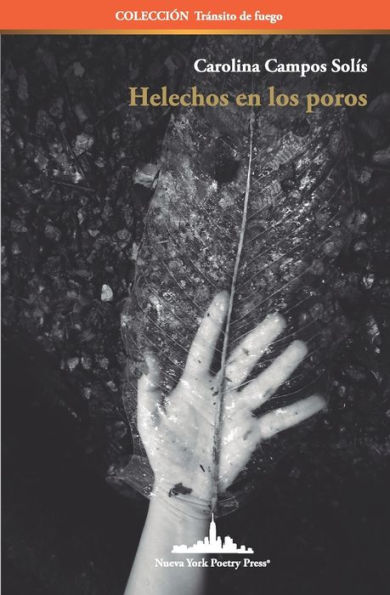 Helechos en los poros