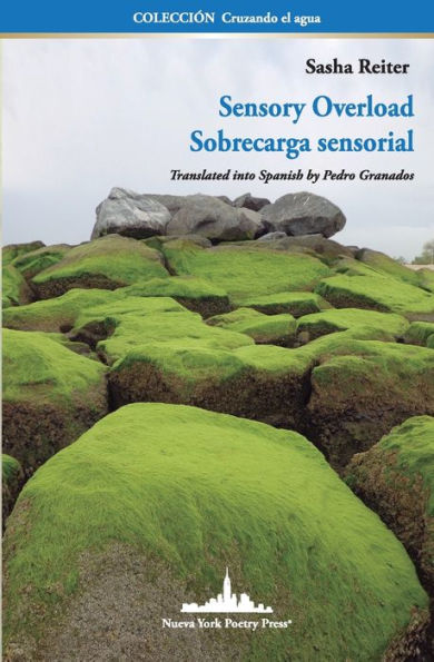 Sensory Overload: Sobrecarga Sensorial (Bilingual edition)