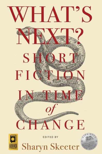 What's Next? Short Fiction in Time of Change