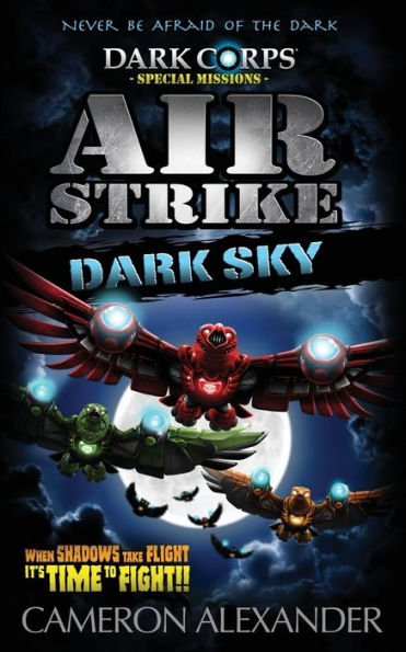 Air Strike: Dark Sky