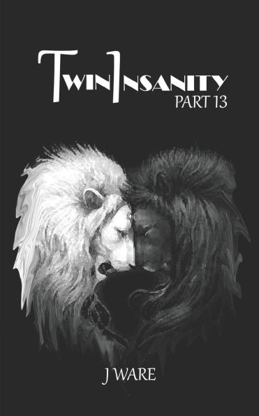 TwinInsanity Part 13
