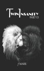 TwinInsanity Part 13