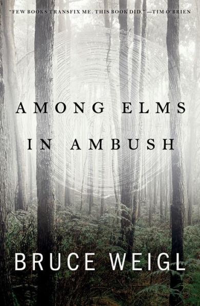 Among Elms, Ambush