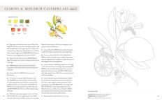 Alternative view 7 of Watercolor Workbook: Flowers, Feathers, and Animal Friends: 25 Beginner-Friendly Projects on Premium Watercolor Paper