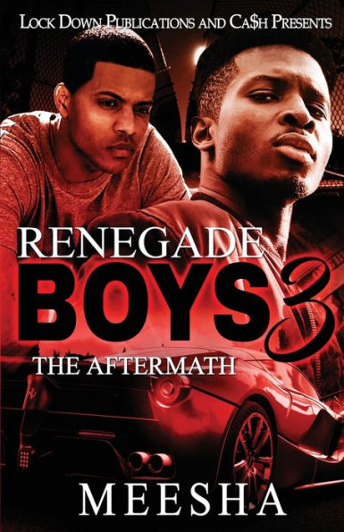 Renegade Boys 3: The Aftermath