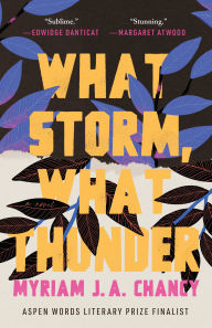 Title: What Storm, What Thunder, Author: Myriam J. A. Chancy