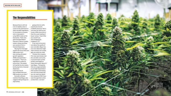 The Complete Guide to CBD: Everything There is to Know About the Healing Powers of Cannabis