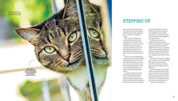 Alternative view 5 of The Meaning of Meow: What Your Cat Really Thinks!