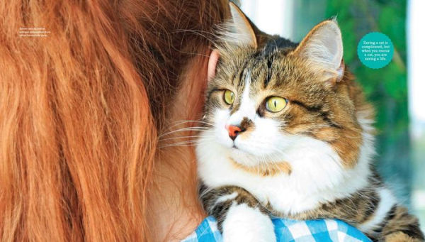 The Meaning of Meow: What Your Cat Really Thinks!