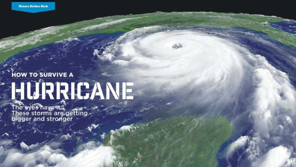 How to Survive Anything: The Ultimate Readiness Guide [Includes a section on the Coronavirus (COVID-19) and other pandemics]