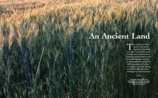 Women of the Bible: Stories of Strength, Faith & Courage