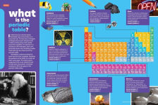 Alternative view 12 of Popular Science Kids: The Giant Book of Who, What, When, Where, Why & How: 1,001 Fascinating Facts for Kids