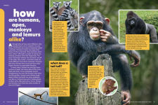 Alternative view 5 of Popular Science Kids: The Giant Book of Who, What, When, Where, Why & How: 1,001 Fascinating Facts for Kids