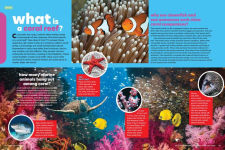 Alternative view 10 of Popular Science Kids: The Giant Book of Who, What, When, Where, Why & How: 1,001 Fascinating Facts for Kids