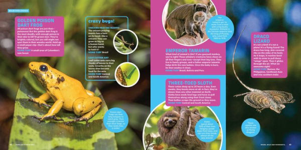 Popular Science Kids: Weird, Wild & Wonderful: 275 Amazing Animals From Tiny to Tall, Furry to Feathered, Creepy to Cute