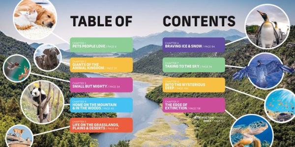 Popular Science Kids: Weird, Wild & Wonderful: 275 Amazing Animals From Tiny to Tall, Furry to Feathered, Creepy to Cute