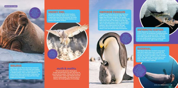 Popular Science Kids: Weird, Wild & Wonderful: 275 Amazing Animals From Tiny to Tall, Furry to Feathered, Creepy to Cute