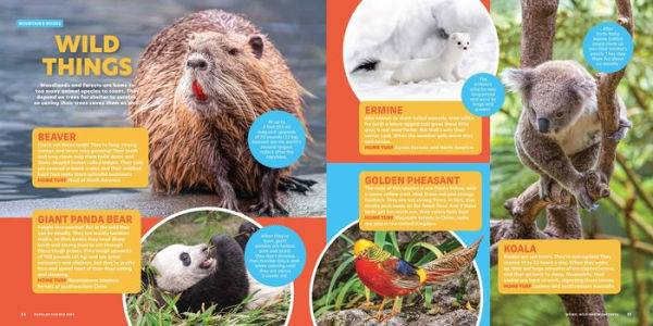 Popular Science Kids: Weird, Wild & Wonderful: 275 Amazing Animals From Tiny to Tall, Furry to Feathered, Creepy to Cute