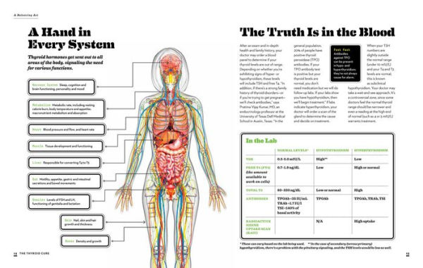 The Thyroid Cure
