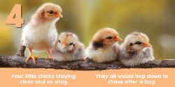 Alternative view 3 of Baby Animals First 123 Book