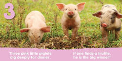 Alternative view 4 of Baby Animals First 123 Book