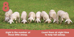 Alternative view 7 of Baby Animals First 123 Book