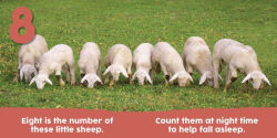 Alternative view 10 of Baby Animals First 123 Book