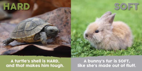 Baby Animals First Opposites Book
