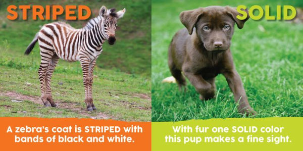 Baby Animals First Opposites Book
