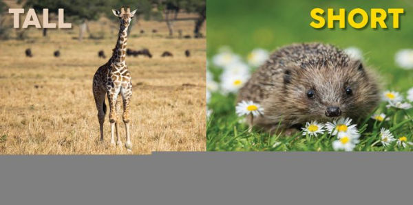 Baby Animals First Opposites Book