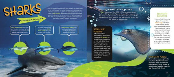 Your Bedroom is an Ocean!: Bring the Sea Home with Reusable, Glow-in-the-Dark (BPA-free!) Stickers of Sharks, Whales, Dolphins, Octopus, Narwhals, and Jellyfish!