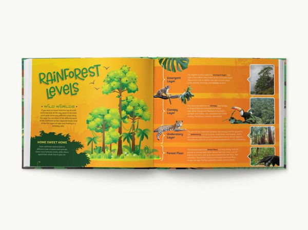 Your Bedroom is a Rainforest!: Bring Rainforest Animals Indoors with Reusable, Glow-in-the-Dark Stickers of Monkeys, Tigers, Sloths, Parrots, Jaguars, Tarantulas, Pandas, Fireflies, and More!