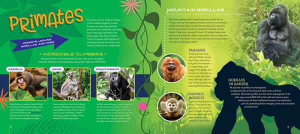 Your Bedroom is a Rainforest!: Bring Rainforest Animals Indoors with Reusable, Glow-in-the-Dark Stickers of Monkeys, Tigers, Sloths, Parrots, Jaguars, Tarantulas, Pandas, Fireflies, and More!