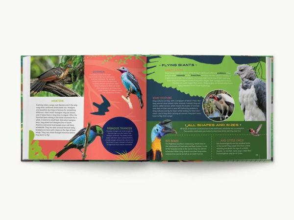 Your Bedroom is a Rainforest!: Bring Rainforest Animals Indoors with Reusable, Glow-in-the-Dark Stickers of Monkeys, Tigers, Sloths, Parrots, Jaguars, Tarantulas, Pandas, Fireflies, and More!