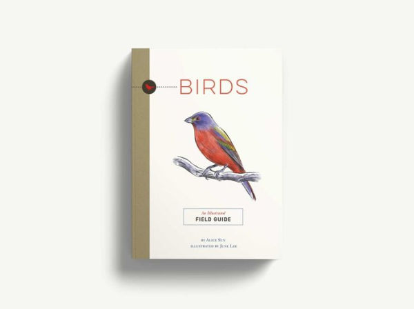 Birds: An Illustrated Field Guide