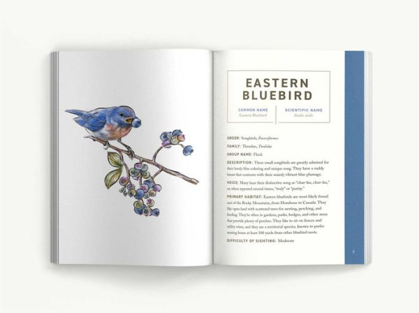 Birds: An Illustrated Field Guide