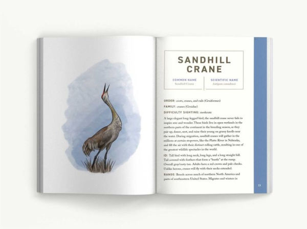 Birds: An Illustrated Field Guide